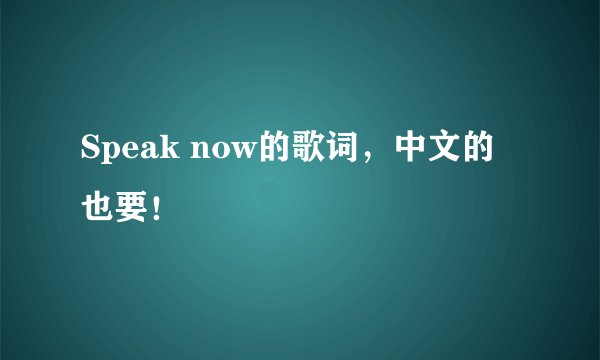 Speak now的歌词，中文的也要！