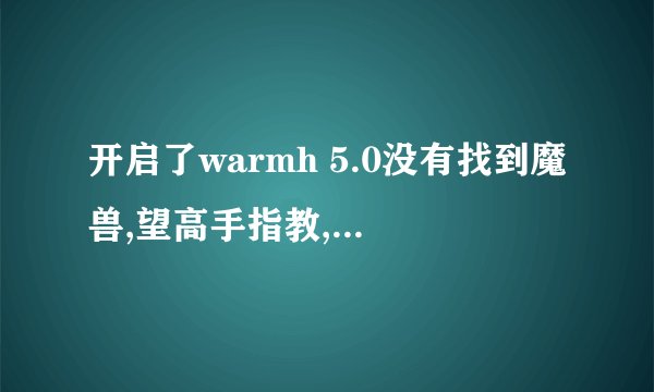 开启了warmh 5.0没有找到魔兽,望高手指教,我玩的1.24e是浩方的