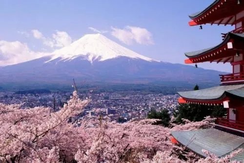 5月赴日旅游仅1700人,什么原因导致游客变少了呢?