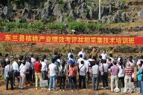 河池在你心目中的印象如何?