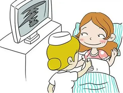 五细胞胚胎可以移植吗？胚胎移植的标准是什么？