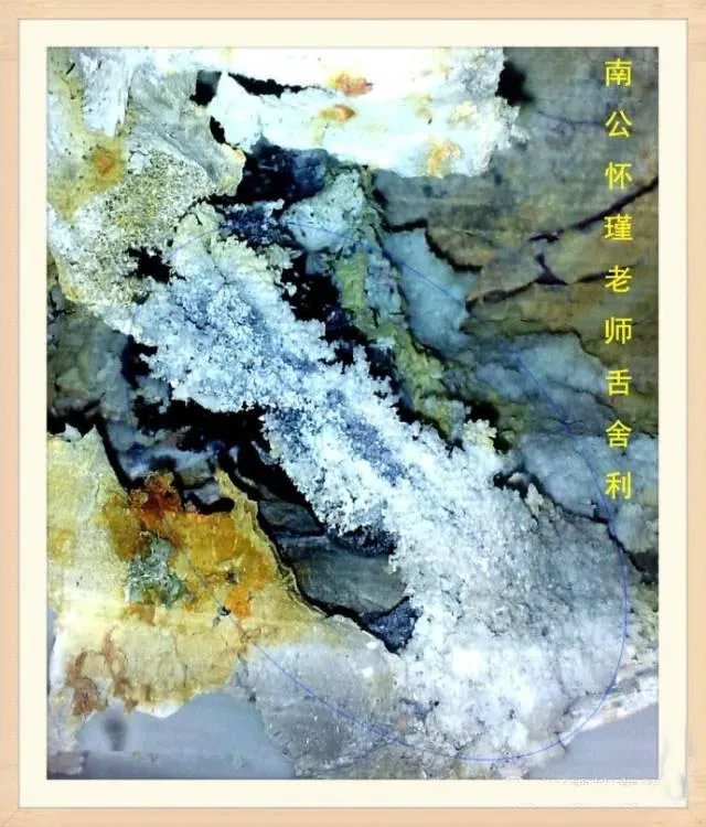 南怀瑾出舍利子了吗