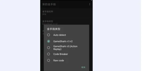 GBA的金手指怎么用?请详细点
