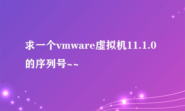 求一个vmware虚拟机11.1.0的序列号~~