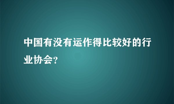 中国有没有运作得比较好的行业协会？