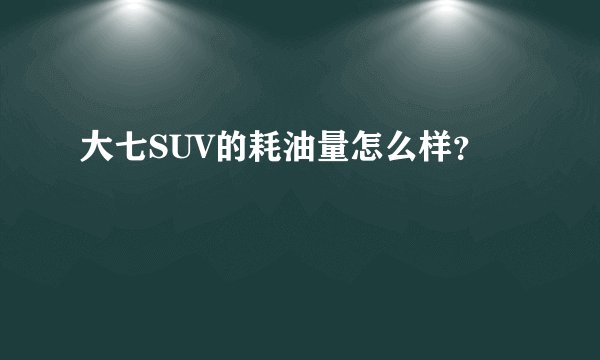 大七SUV的耗油量怎么样?