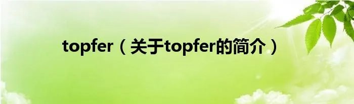 topfer（关于topfer的简介）