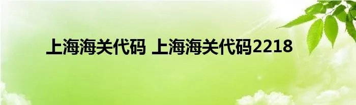 上海海关代码 上海海关代码2218