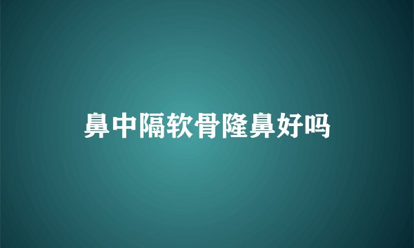 鼻中隔软骨隆鼻好吗
