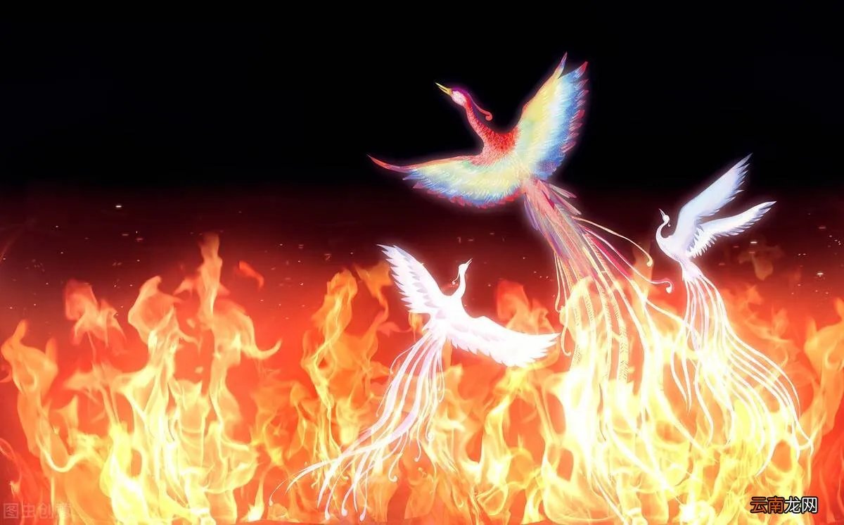 历史上真有凤凰吗？ 凤凰历史