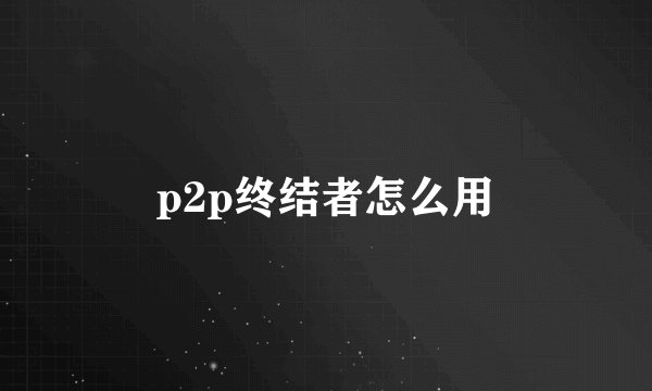 p2p终结者怎么用