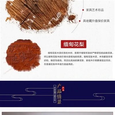 兰州市十一中怎么样,十一中速度就是兰州速度