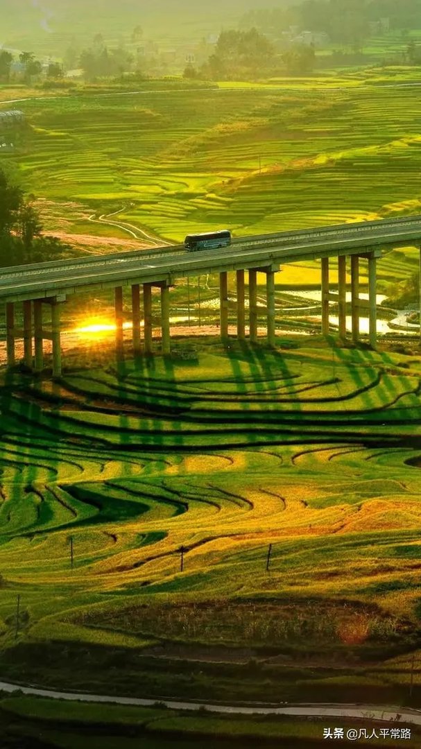 为什么总觉得自己不够幸运，不够优秀？