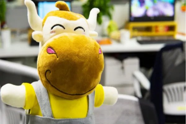 国家公务员考试怎么缴费流程