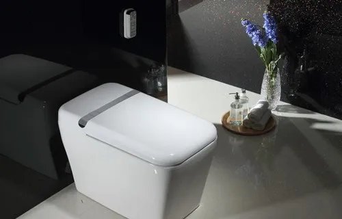 坐便器的价格一般多少钱 如何选购坐便器