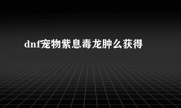 dnf宠物紫息毒龙肿么获得