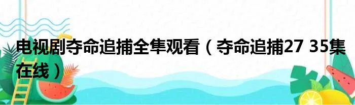 电视剧夺命追捕全隼观看（夺命追捕27 35集在线）