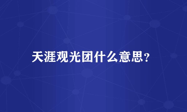 天涯观光团什么意思？