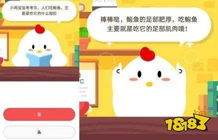 人们吃鲍鱼主要是吃它的什么部位?头还是足?吃鲍鱼吃哪个部位