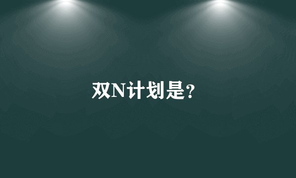 双N计划是?