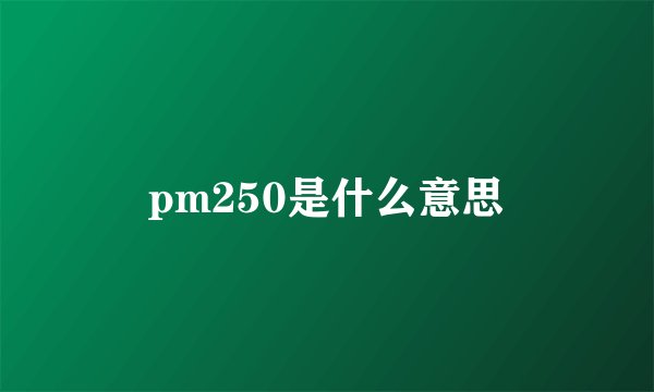 pm250是什么意思