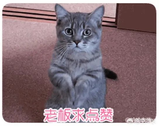 有什么值得购买的面膜推荐吗？