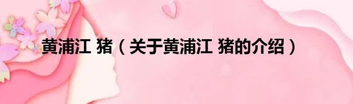 黄浦江 猪（关于黄浦江 猪的介绍）