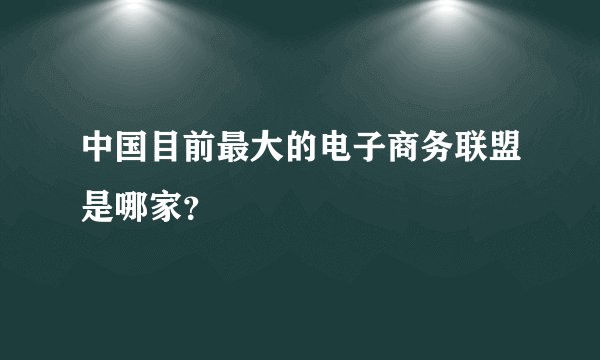 中国目前最大的电子商务联盟是哪家？