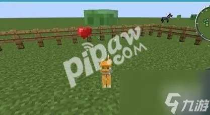 我的世界豹猫怎么驯服 豹猫驯服方法推荐 每日一条