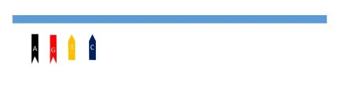 如何用ppt画出简单的DNA分子双链模型——基础篇