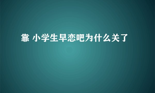 靠 小学生早恋吧为什么关了