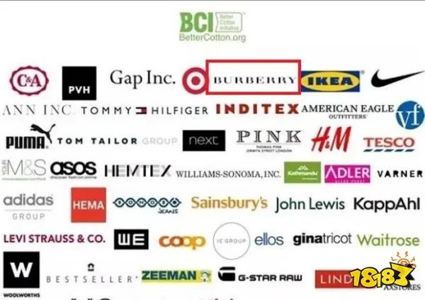 王者荣耀巴宝莉取消合作是什么情况 巴宝莉辱华是怎么回事