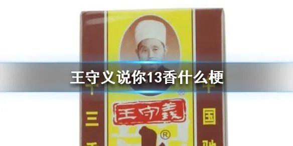 王守义说你13香什么梗 王守义说你13香梗出处介绍