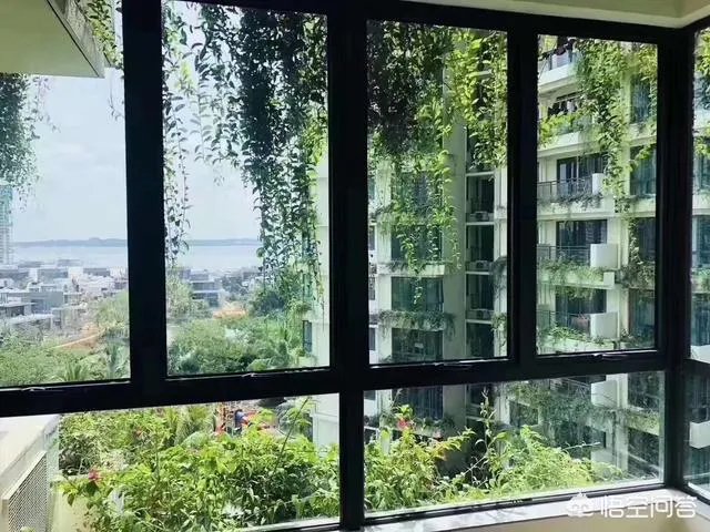 碧桂园森林城市到底是一个什么样的项目?