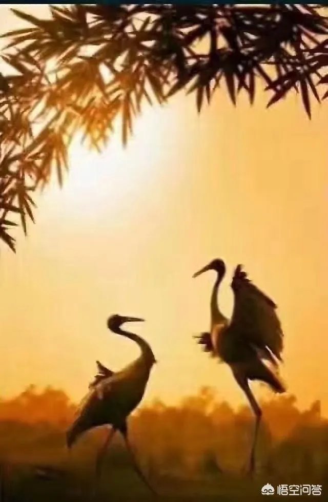 和女朋友天天聊天,怎么保持新鲜感?