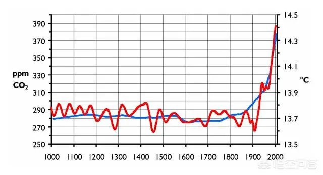 近来北极圈罕见32℃高温，高温成因是什么？北极熊受此影响会走向灭绝吗？