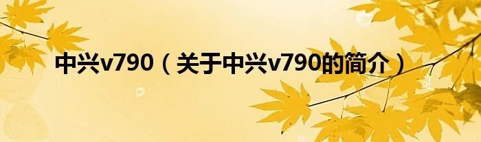 中兴v790（关于中兴v790的简介）